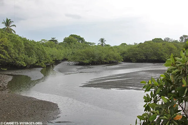 Puerto Jimenez Costa Rica
