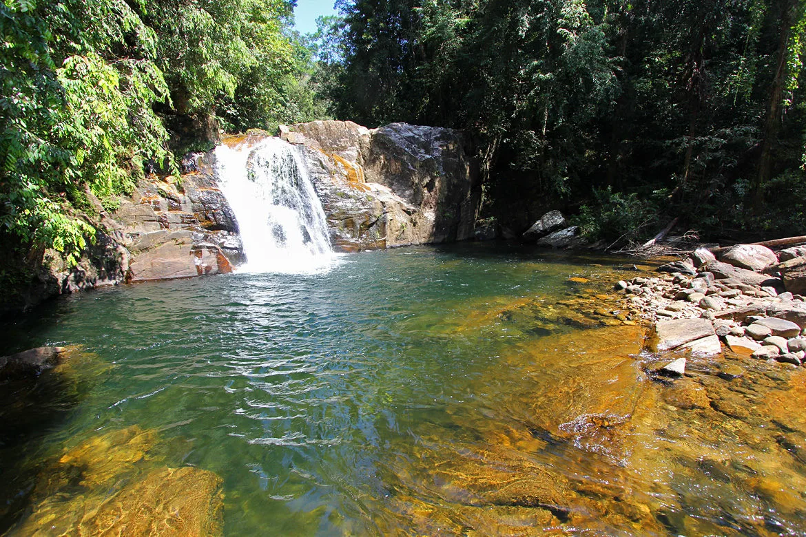 Cascade forêt Sinharaja Sri Lanka