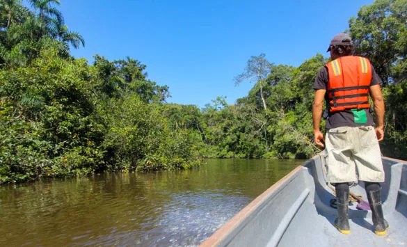 Réserve Cuyabeno Equateur Amazonie