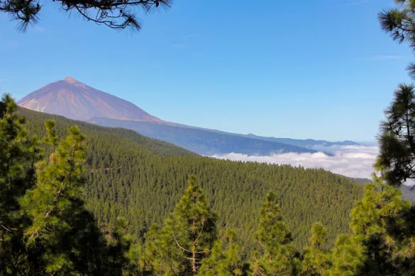 Tenerife - Volcan Teide