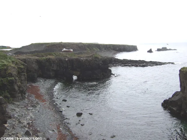 flaises macareux grimsey islande