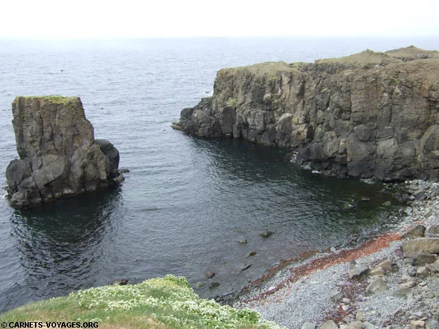 flaises macareux grimsey islande