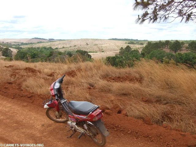 Balade scooter Sen Monorom Mondolkiri Cambodge