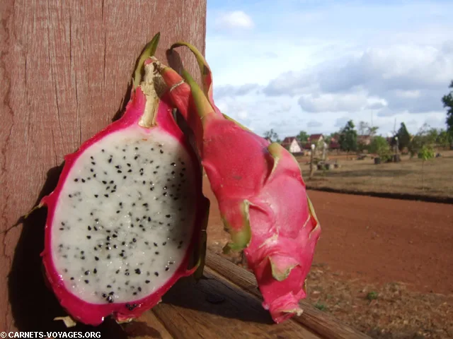 fruit du dragon cambodge