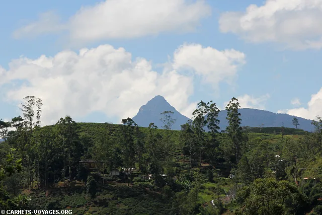 Vue Adams Peak train Kandy Nuwara Eliya Sri Lanka
