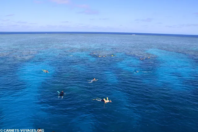 Grande Barrière de Corail Australie