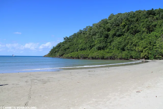 Foret de Daintree Australie Cape Tribulation