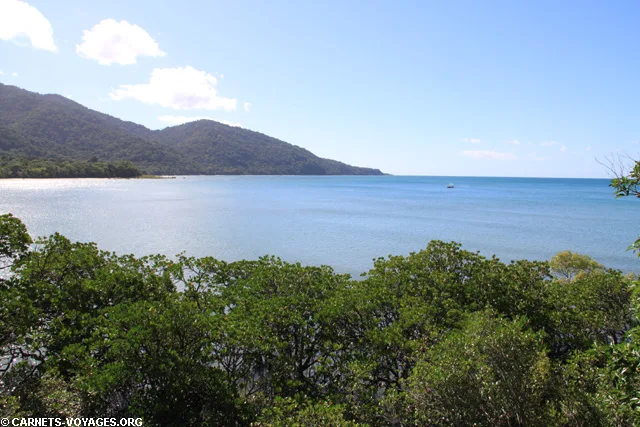 Foret de Daintree Australie Cape Tribulation