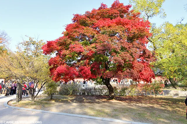 Palais Changdeokgung Séoul Corée du Sud