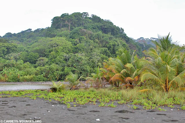 Parc Corcovado Costa Rica