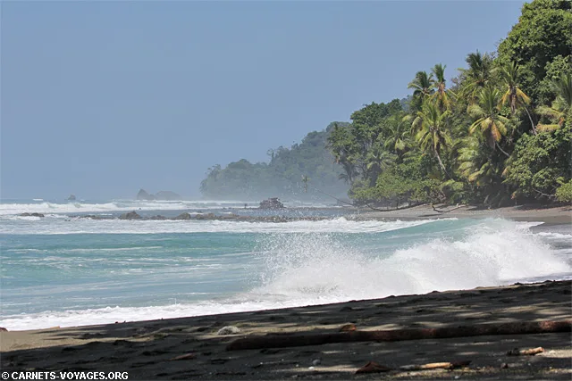 Plage Parc Corcovado Costa Rica