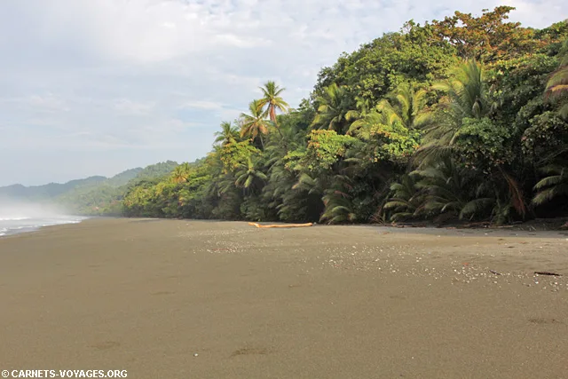 Parc Corcovado Costa Rica