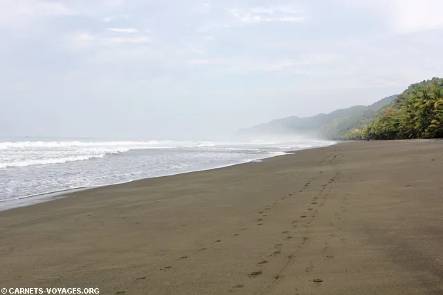 Plage Parc Corcovado Costa Rica