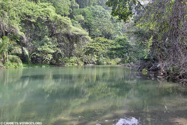 Rivière Parc Corcovado Costa Rica