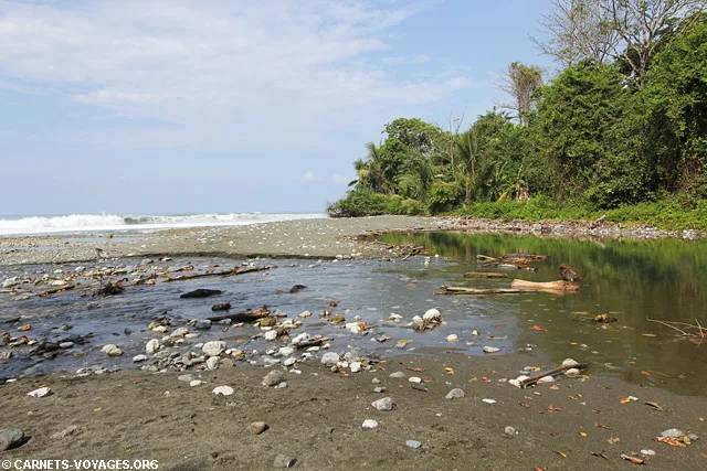 Parc Corcovado Costa Rica