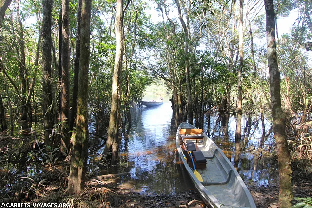 Réserve Cuyabeno Amazonie Equateur