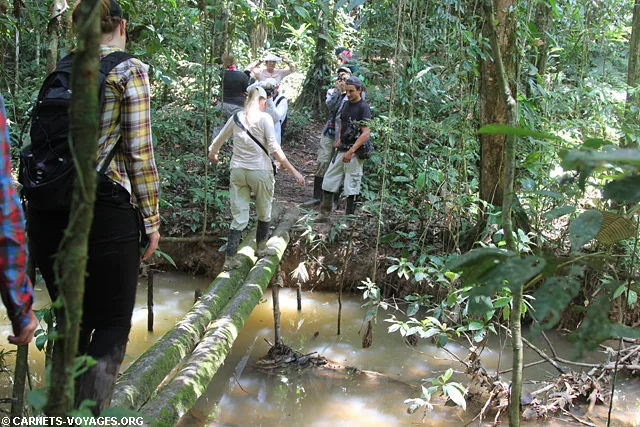 Réserve Cuyabeno Amazonie Equateur