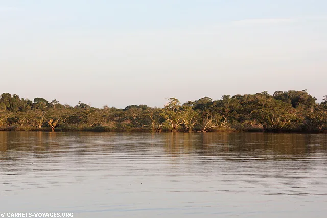 Réserve Cuyabeno Amazonie Equateur