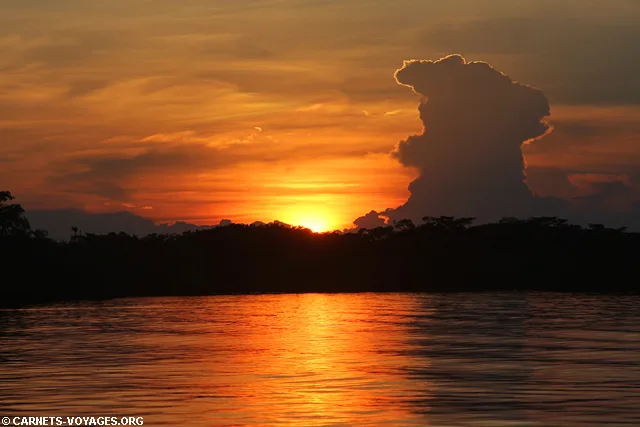 Réserve Cuyabeno Amazonie Equateur