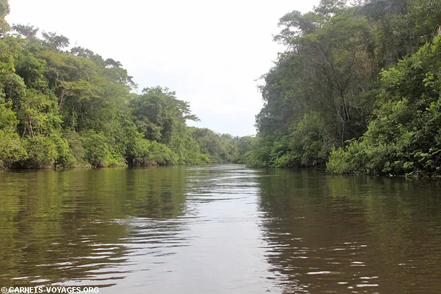 Réserve Cuyabeno Amazonie Equateur