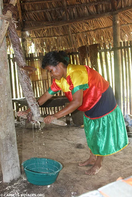 Réserve indienne amazonie équateur