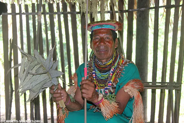 Réserve Cuyabeno Amazonie Equateur