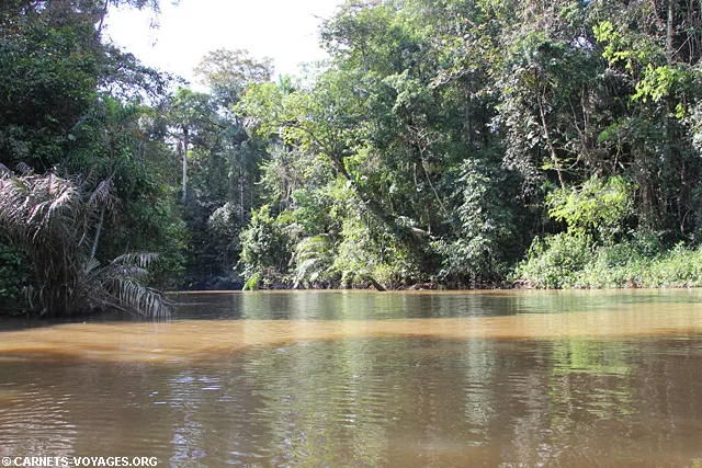 Réserve Cuyabeno Amazonie Equateur