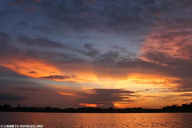Réserve Cuyabeno Amazonie Equateur