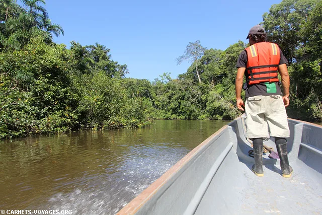 Réserve Cuyabeno Amazonie Equateur