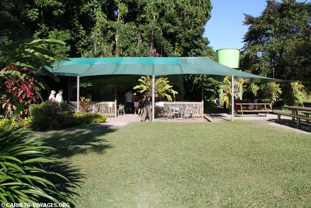 Daintree Ice Cream Company