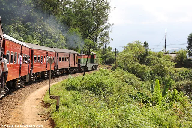 Trajet train Nuwara Eliya Ella Sri Lanka