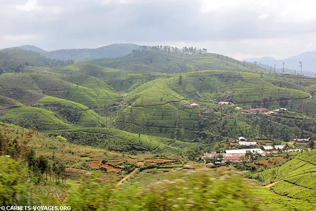 Trajet train Nuwara Eliya Ella Sri Lanka