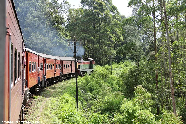 Trajet train Nuwara Eliya Ella Sri Lanka