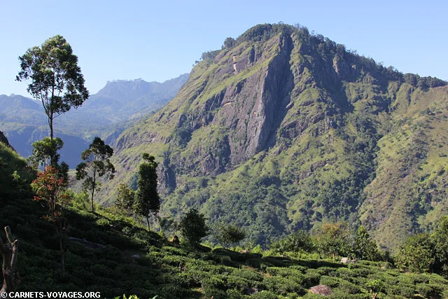 Randonnée Little Adam's Peak Ella Sri Lanka