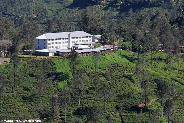 Randonnée Little Adam's Peak Ella Sri Lanka