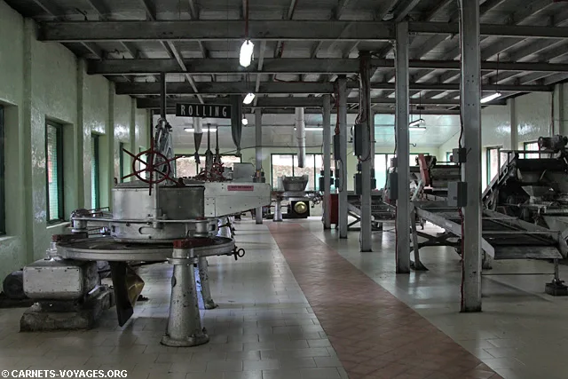 Fabrique thé Labookellie Mackwoods Nuwara Eliya Sri Lanka