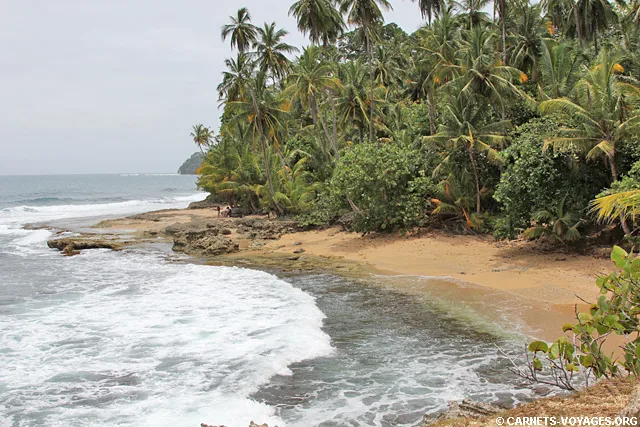 Plage Réserve Gandoca-Manzanillo