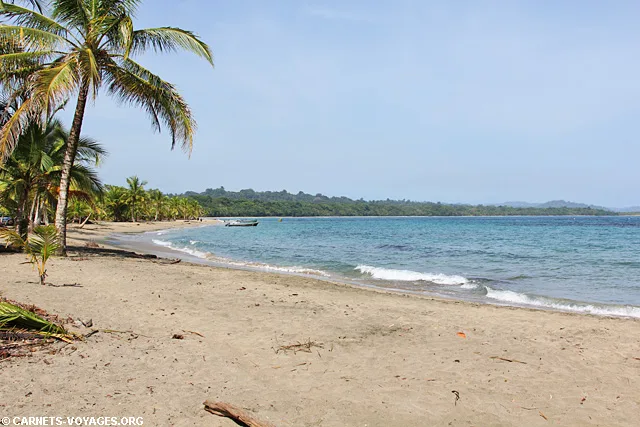 Plage Réserve Gandoca-Manzanillo