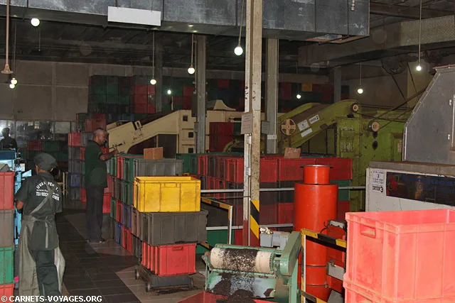 Fabrique de thé d'Halpewatte Sri Lanka