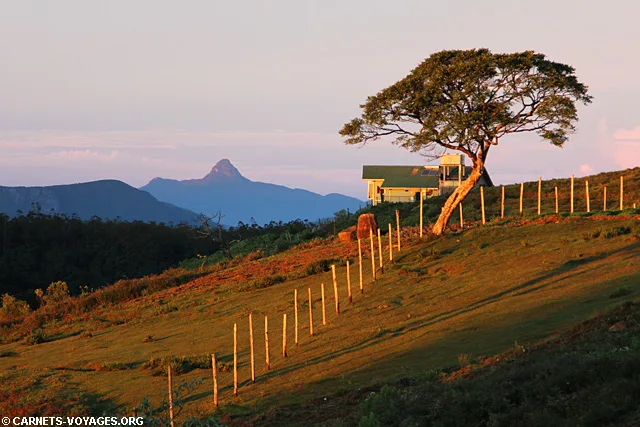 Parc Horton Plains Sri Lanka