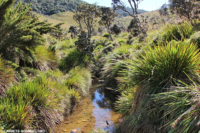 Parc Horton Plains Sri Lanka