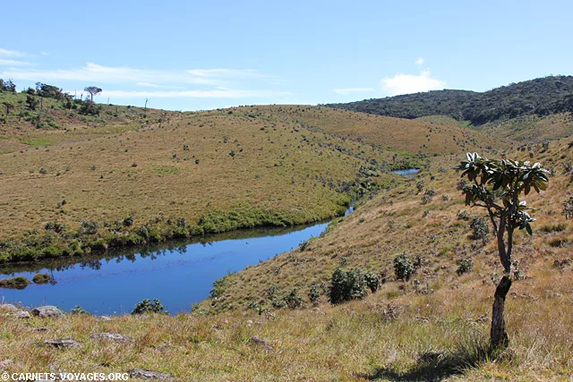 Parc Horton Plains Sri Lanka