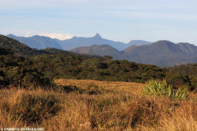 Parc Horton Plains Sri Lanka