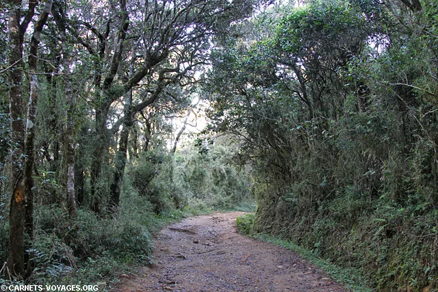 Parc Horton Plains Sri Lanka