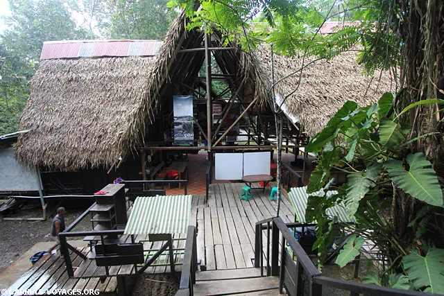 Réserve Cuyabeno Amazonie Equateur Jamu Lodge