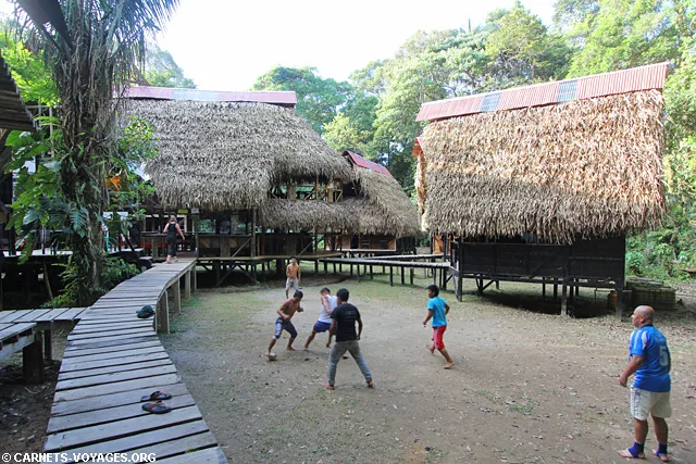 Réserve Cuyabeno Amazonie Equateur Jamu Lodge