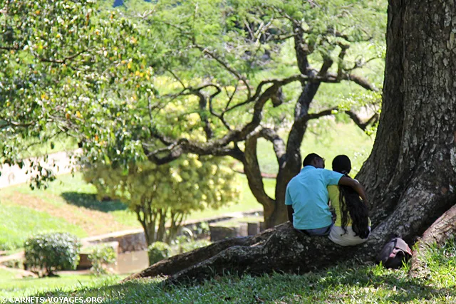 Jardin botanique Kandy Sri Lanka