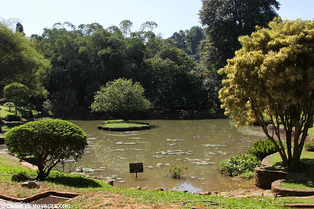 Jardin botanique Kandy Sri Lanka