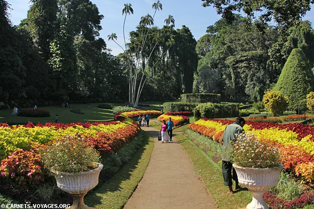 Jardin botanique Kandy Sri Lanka