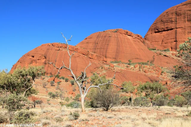 Kata Tjuta Australie